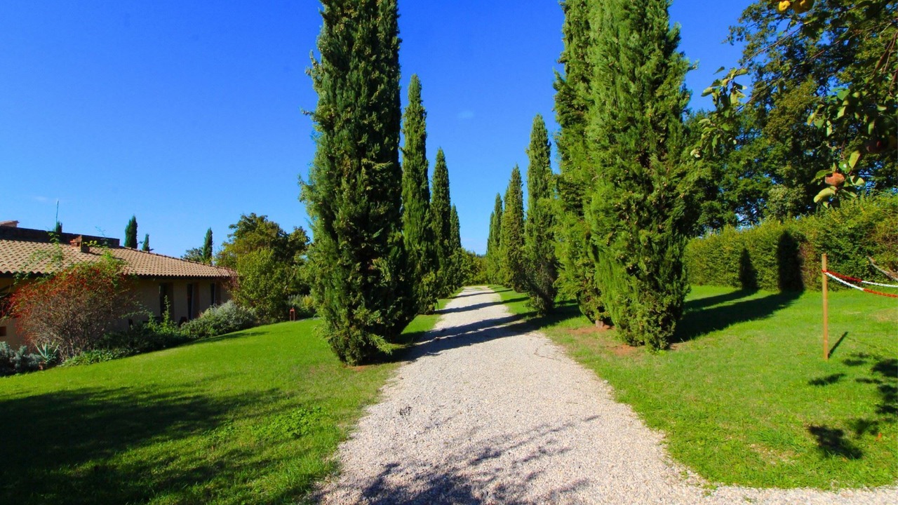 Photo of Outdoor in Foiano della Chiana