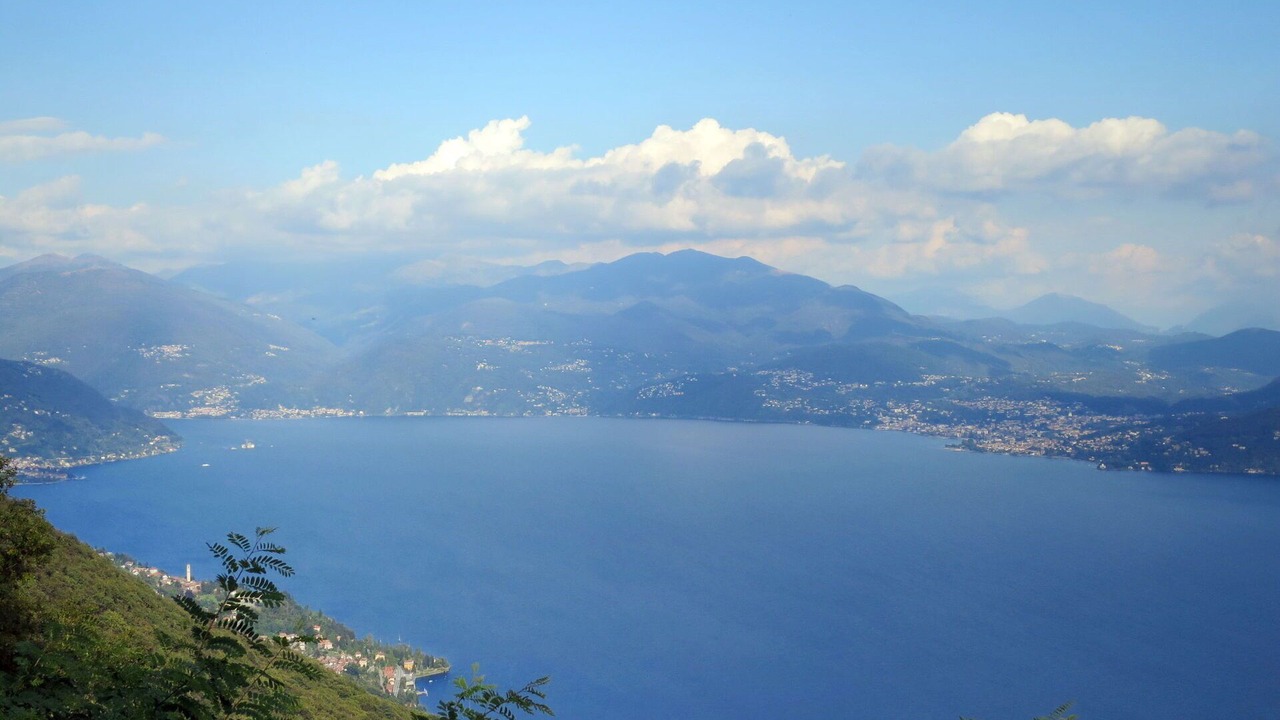 Photo of Others in Premeno