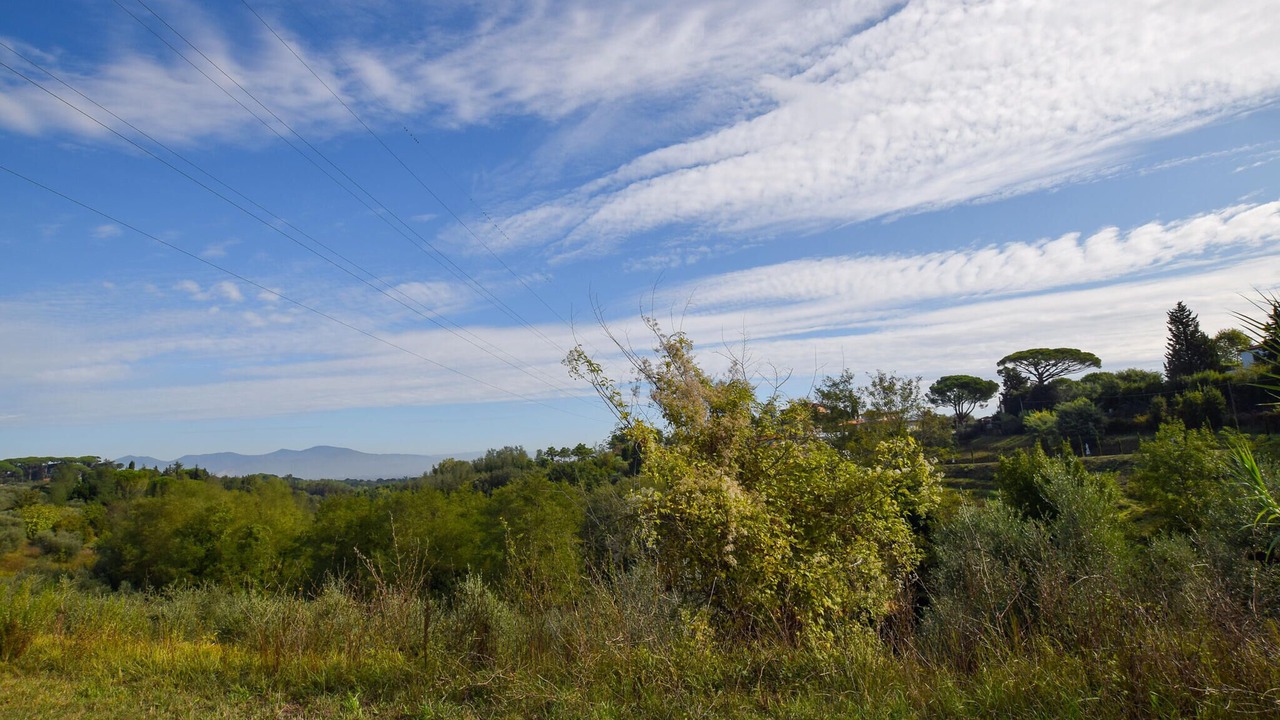 Photo of Bedroom in Fauglia
