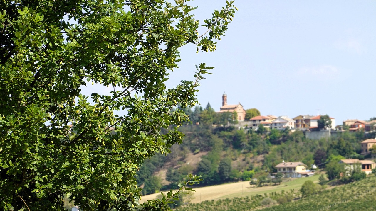 Photo of Others in Castagnole delle Lanze