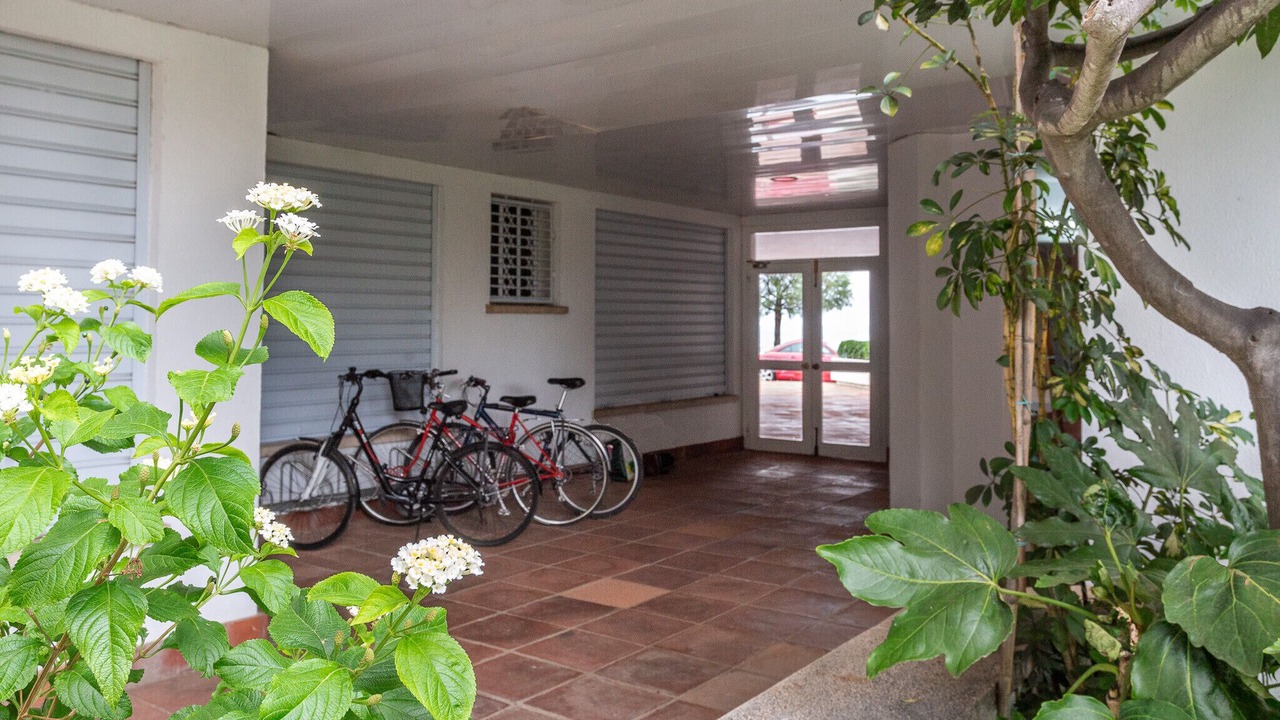 Photo of Outdoor in Pedrinya