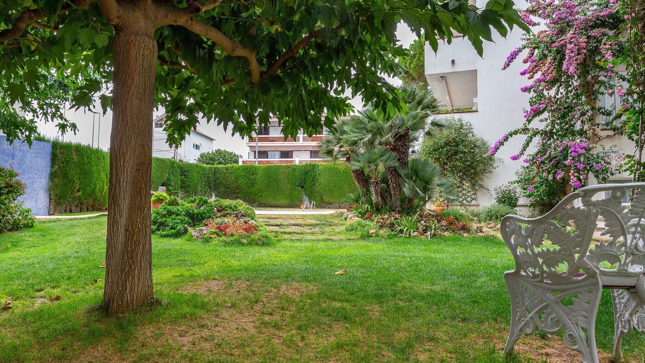 Photo of Outdoor in Pedrinya