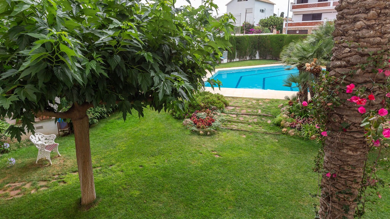 Photo of Outdoor in Pedrinya
