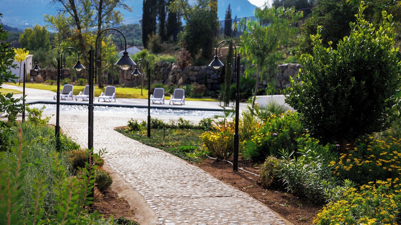 Photo of Outdoor in Zambra
