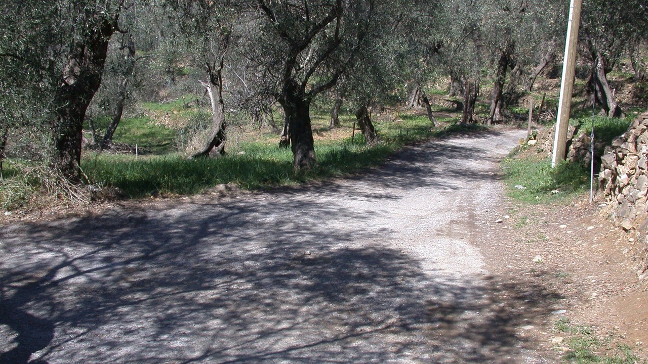 Photo of Others in Artallo