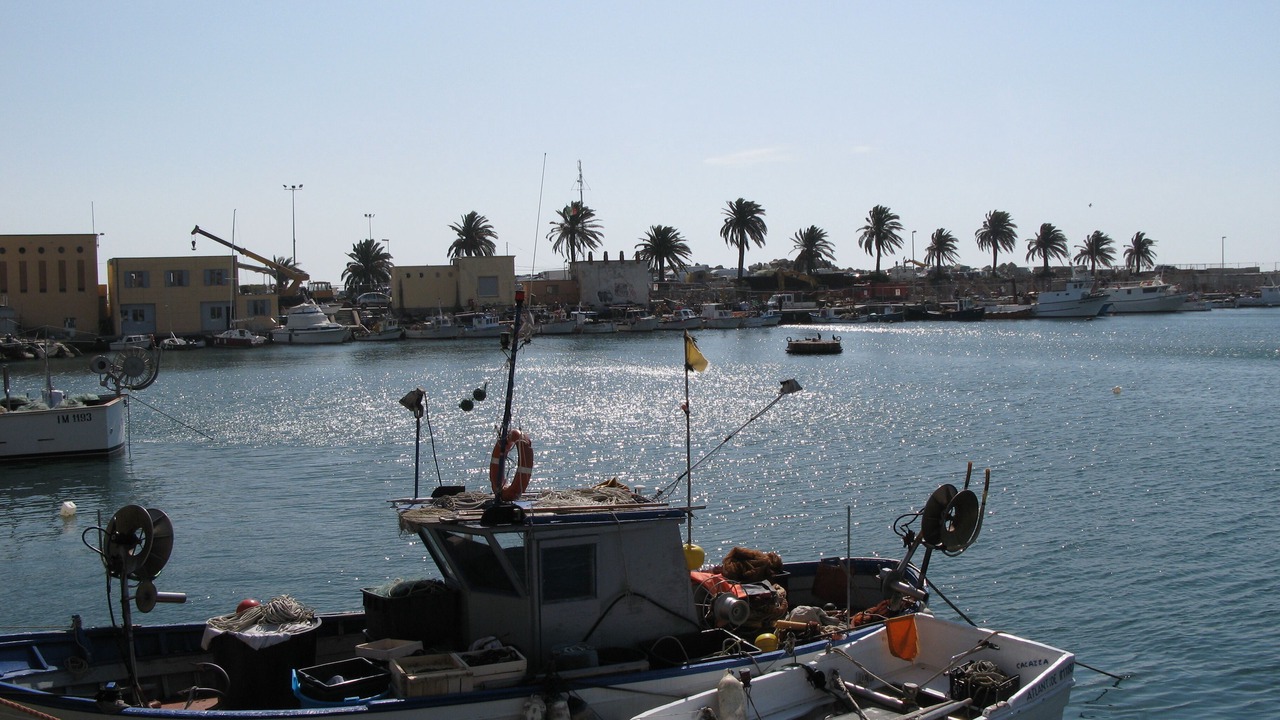Photo of Others in Artallo