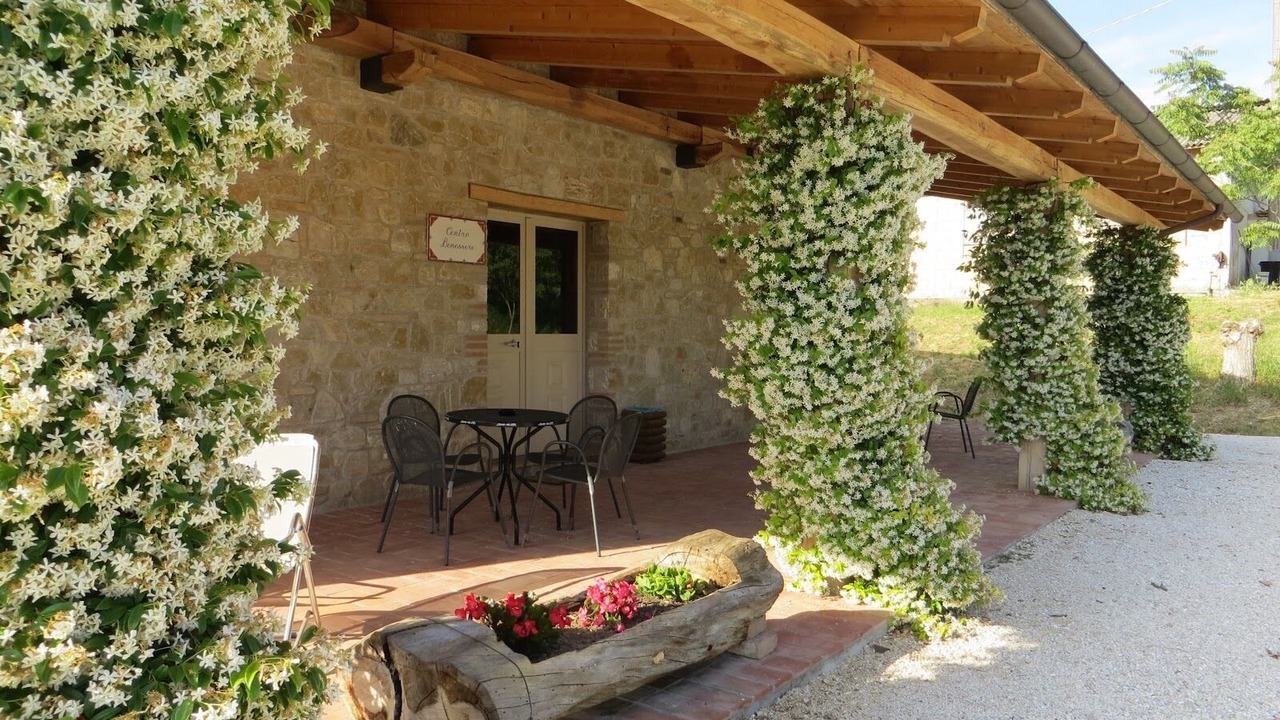 Photo of Outdoor in Todi