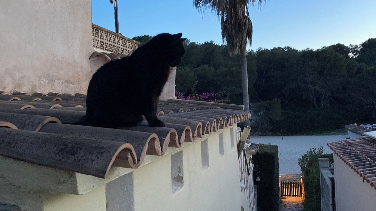 Photo of Others in Cala Anguila-Cala Mendia
