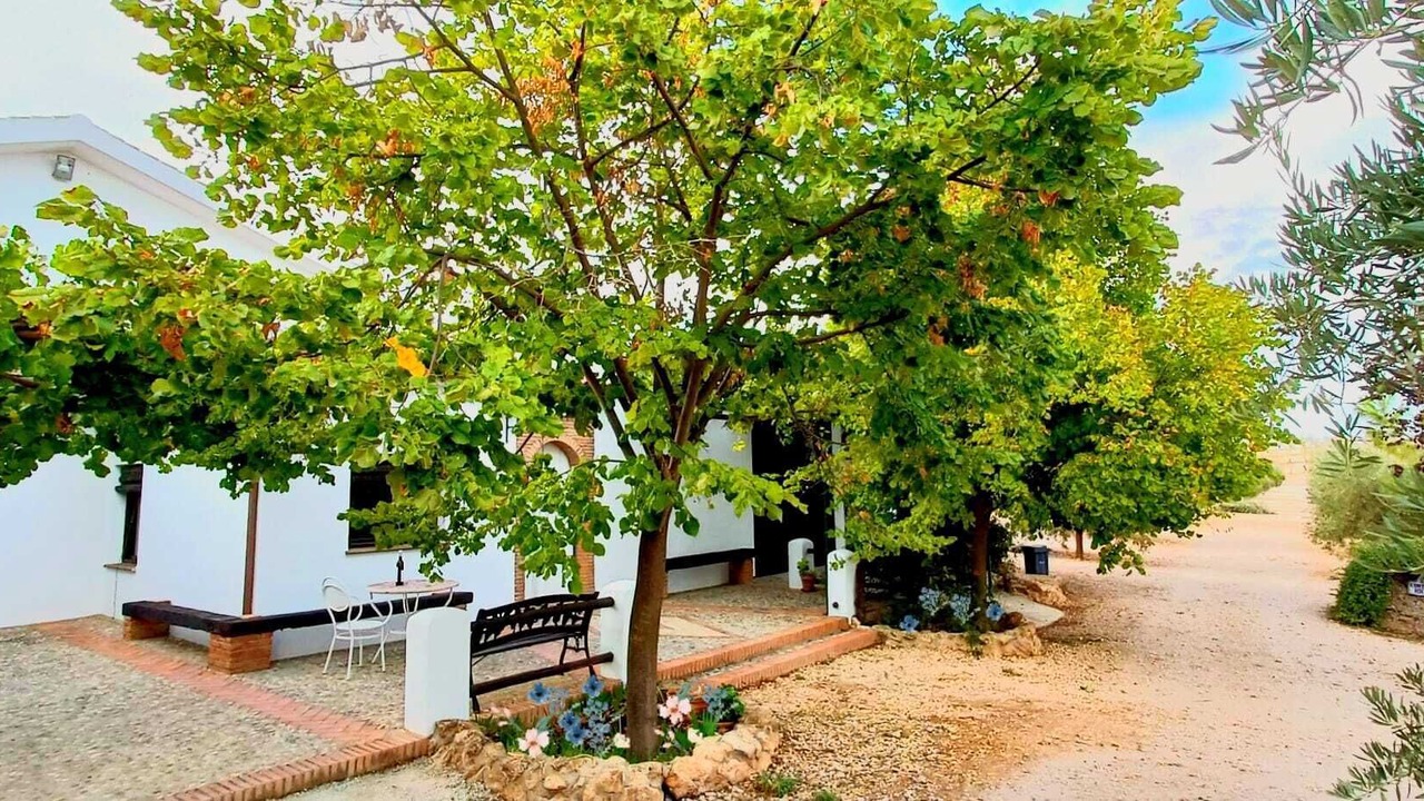 Photo of Outdoor in Alhama de Granada