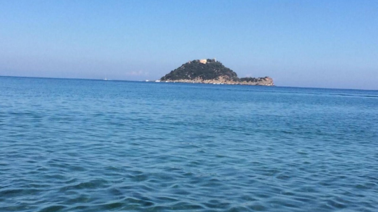 Photo of Others in Canapari Marici