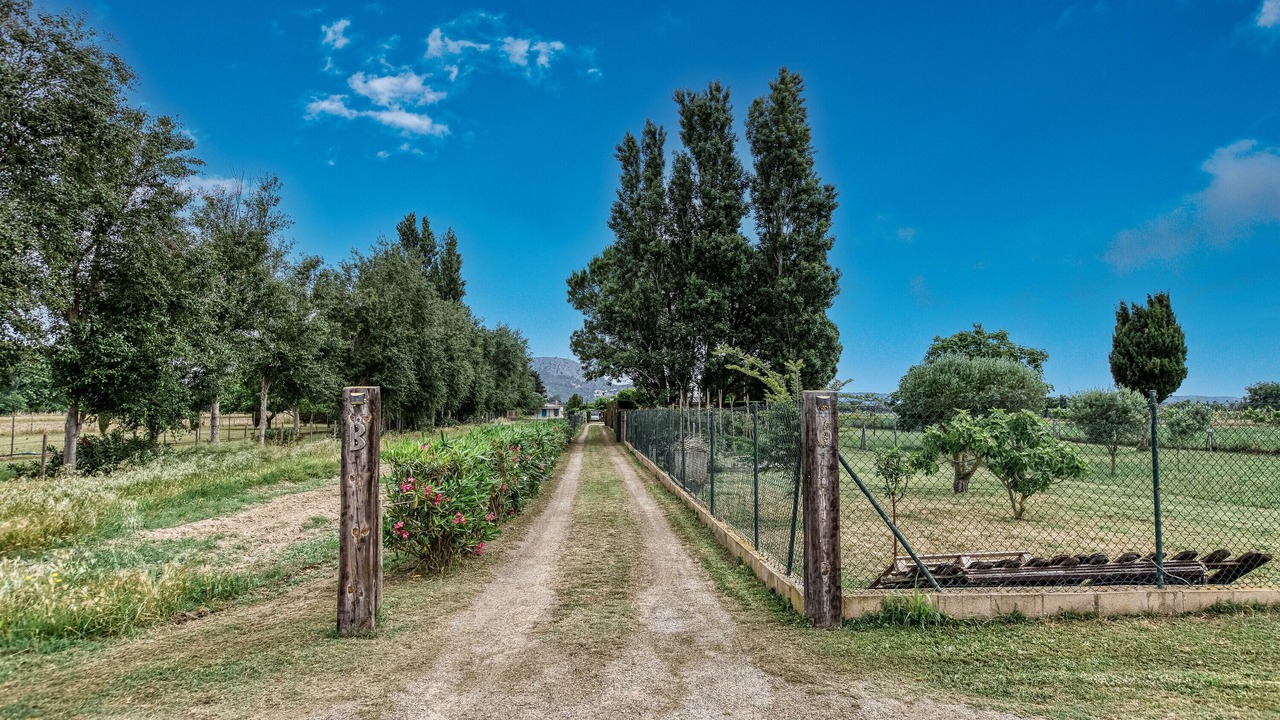 Photo of Outdoor in Torroella de Montgri