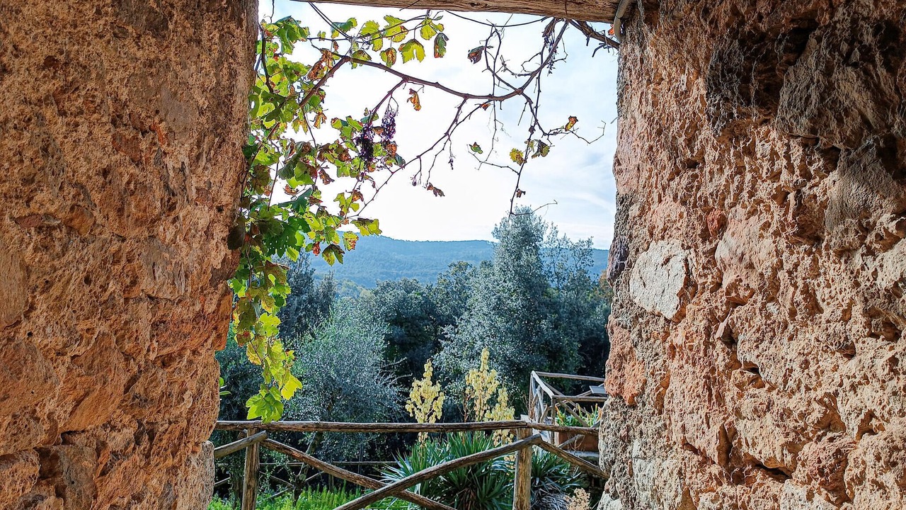 Photo of Others in Castello di Tocchi