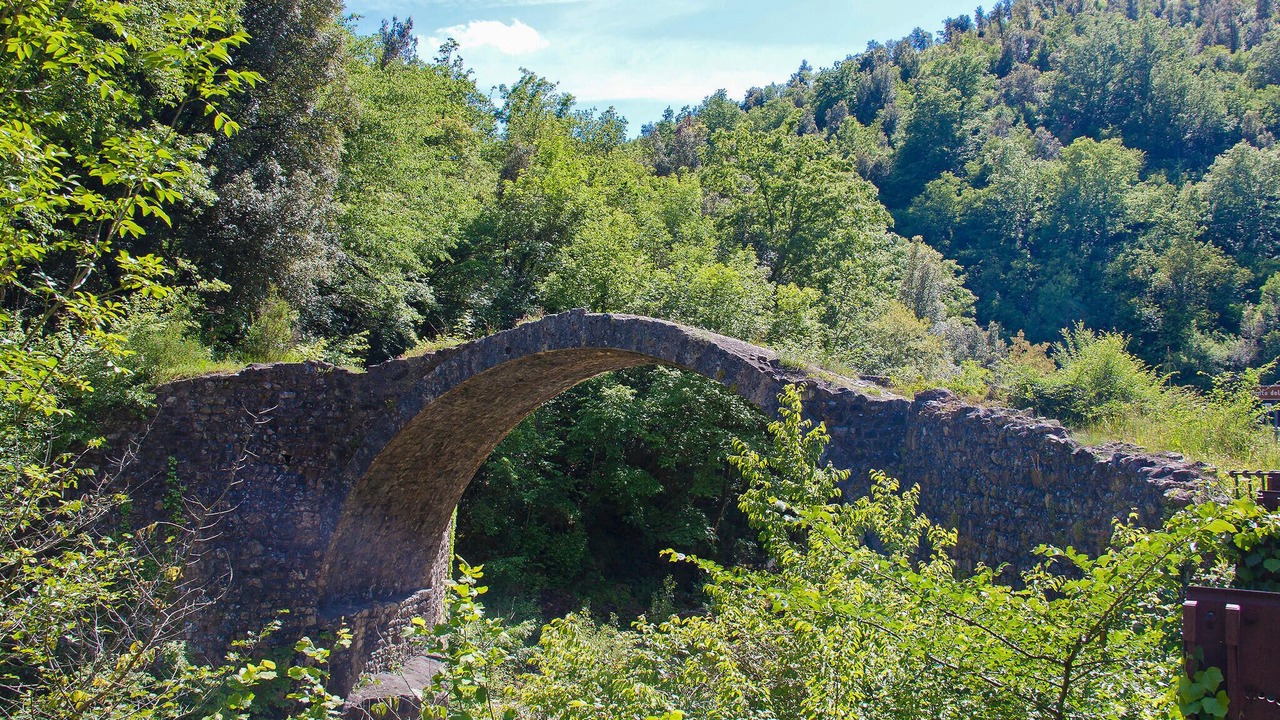 Photo of Others in Castello di Tocchi
