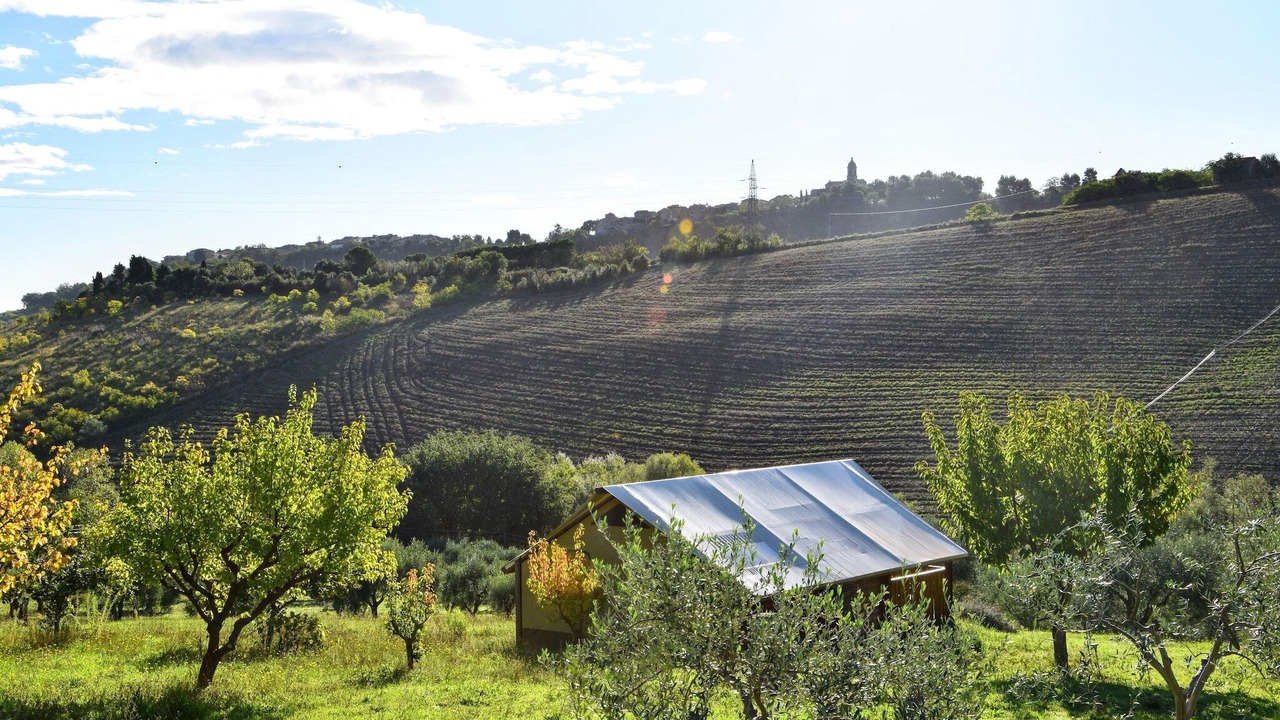 Photo of Outdoor in Lapedona