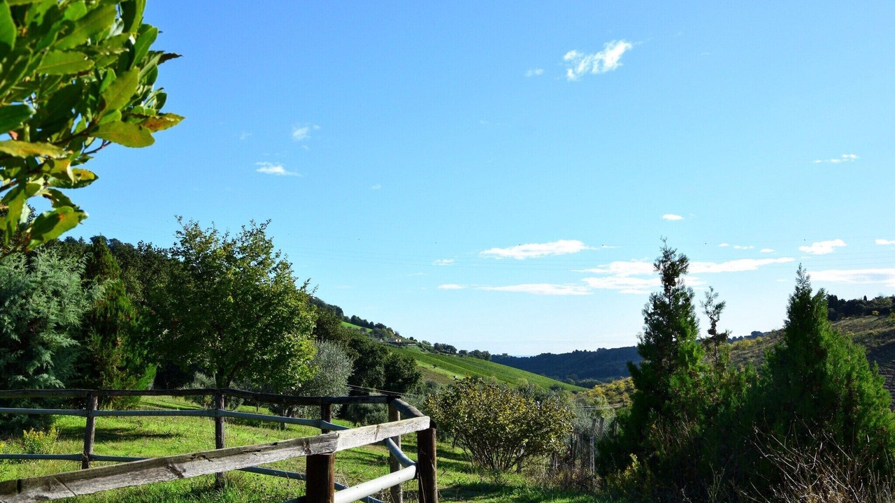 Photo of Outdoor in Lapedona