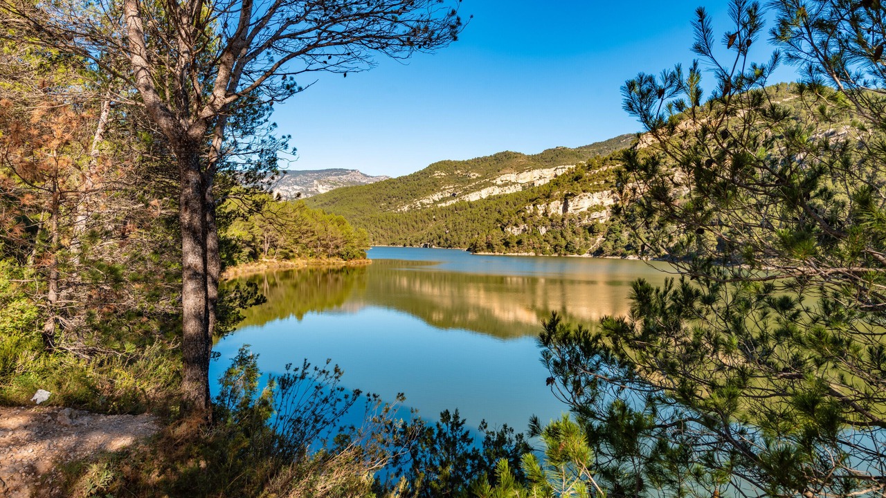 Photo of Others in La Pobla de Benifassa