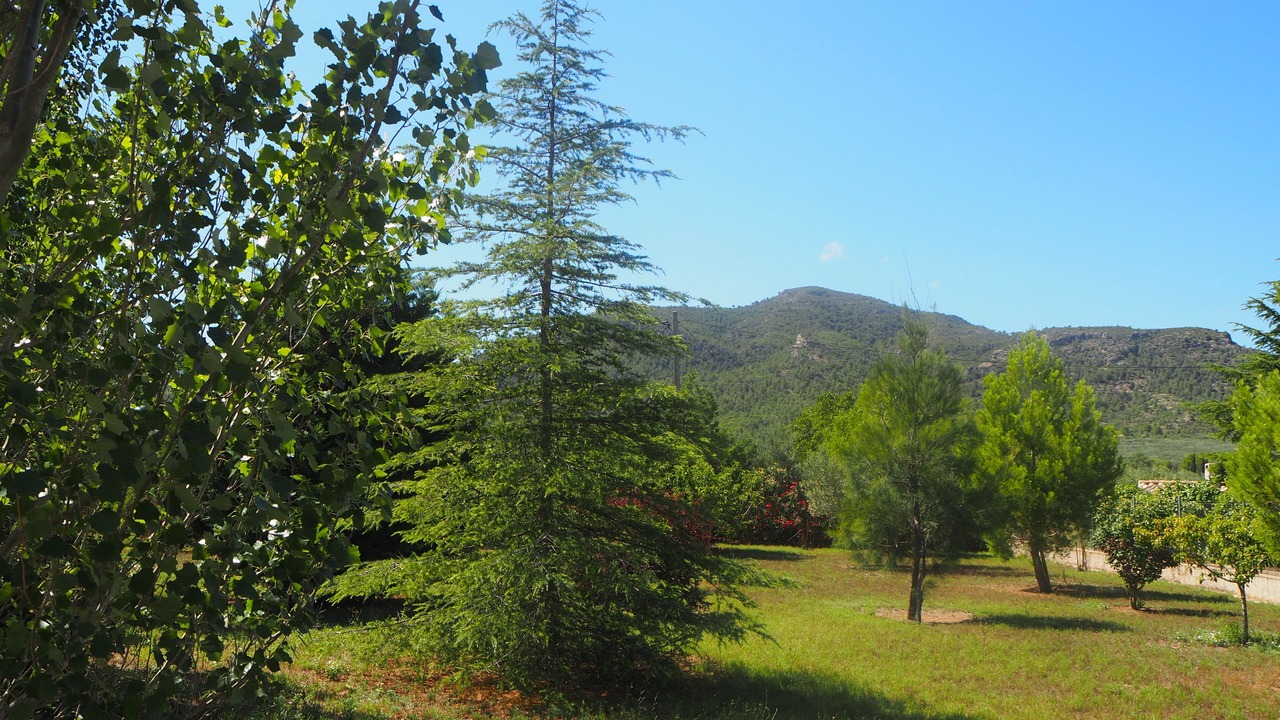Photo of Others in Roquetes