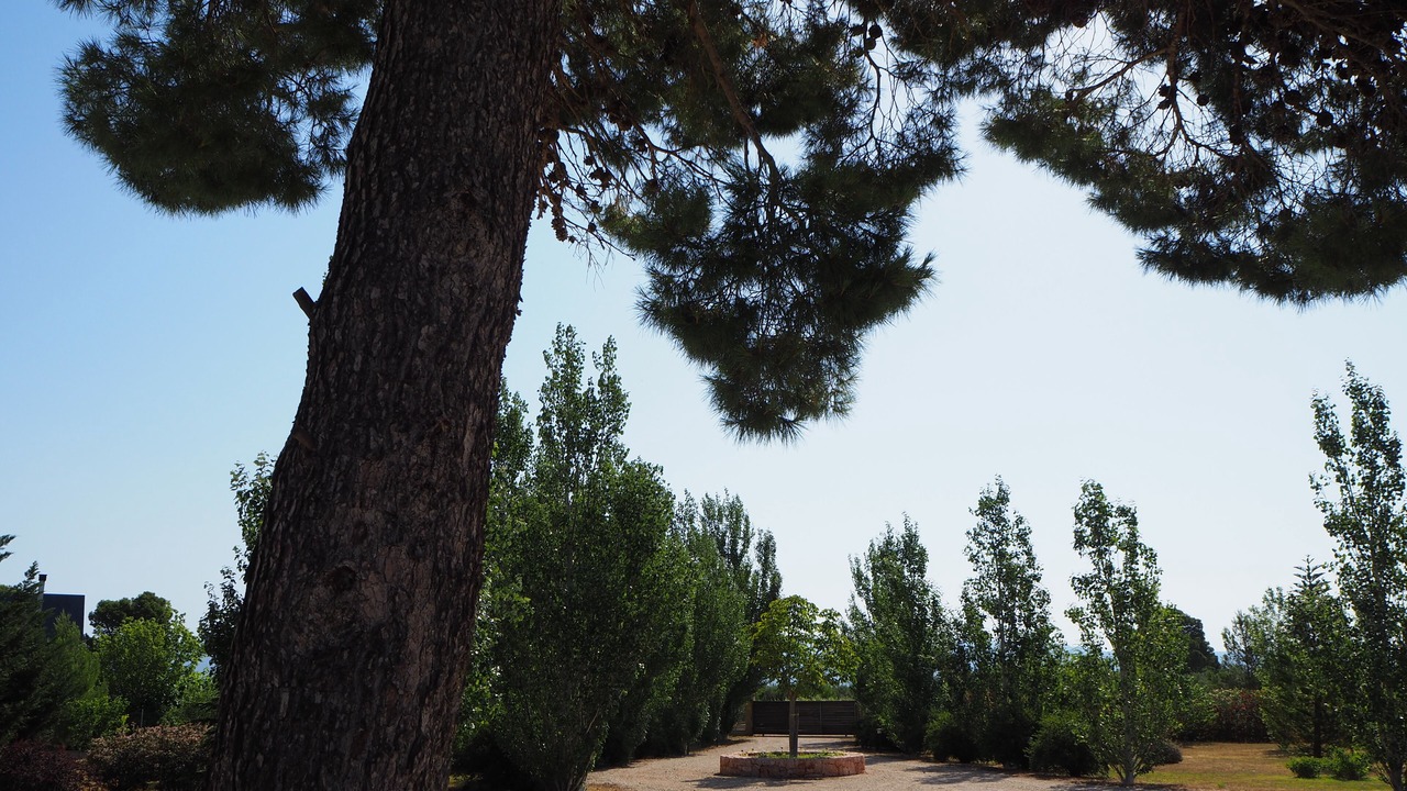 Photo of Outdoor in Tortosa