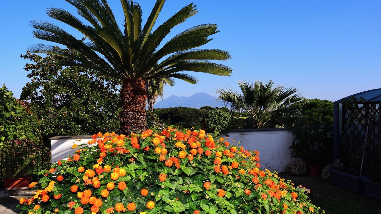 Photo of Outdoor in Posillipo