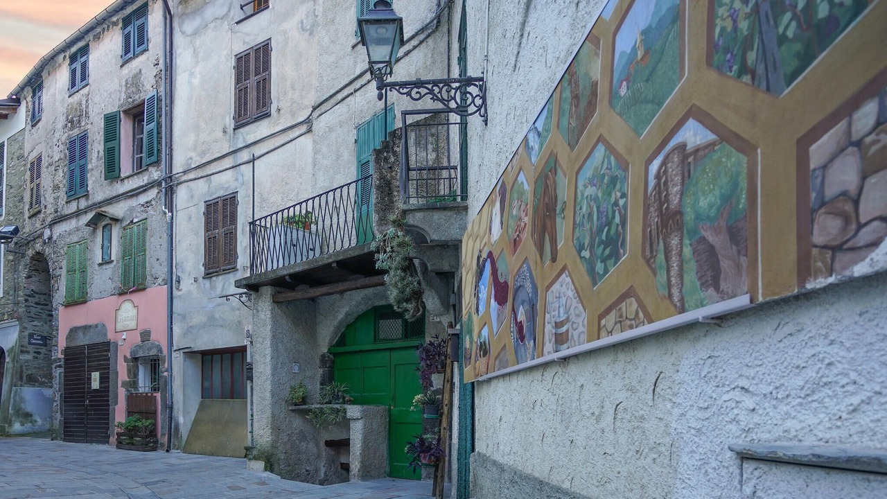 Photo of Others in Onzo