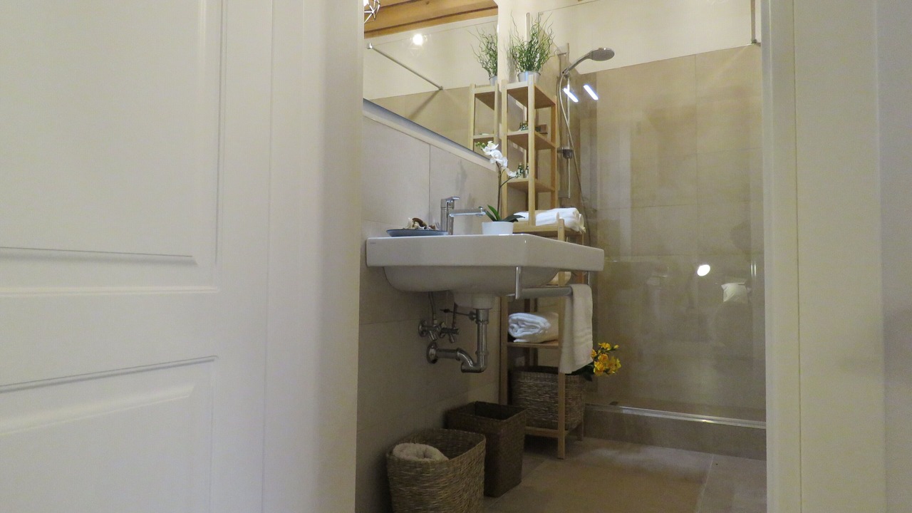 Photo of Bathroom in Saragozza-Porto