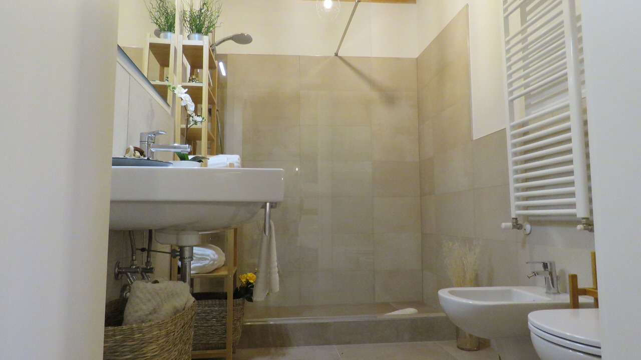 Photo of Bathroom in Saragozza-Porto