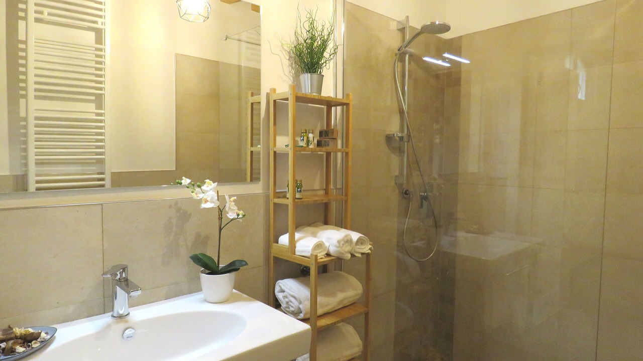 Photo of Bathroom in Saragozza-Porto