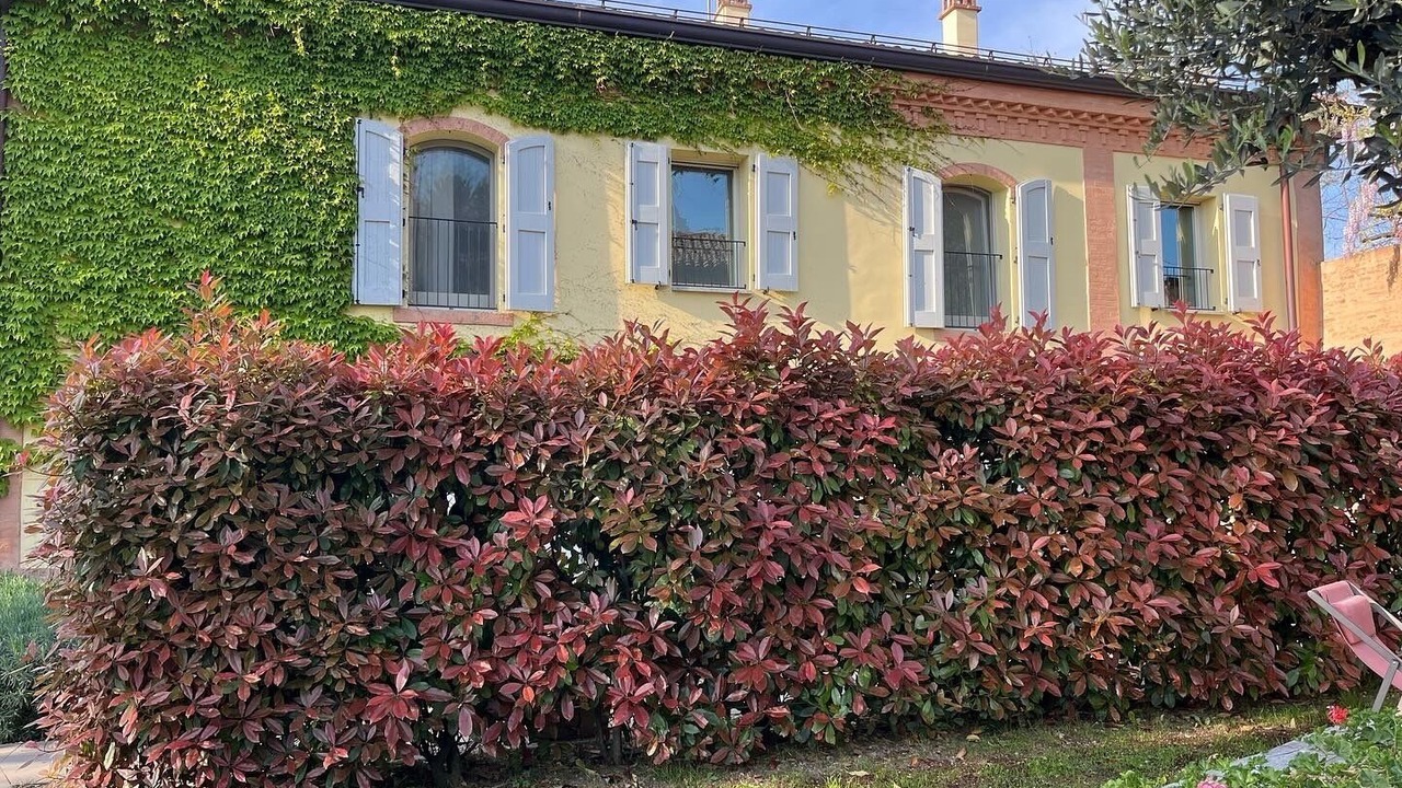 Photo of Outdoor in Saragozza-Porto
