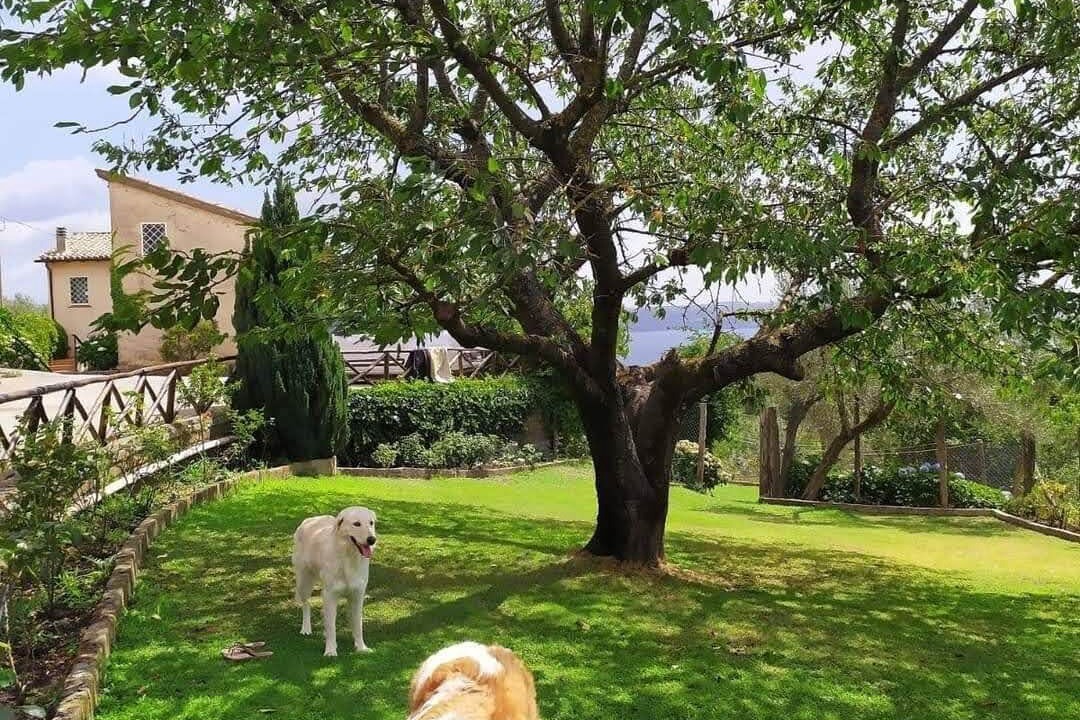 Photo of Outdoor in Gradoli