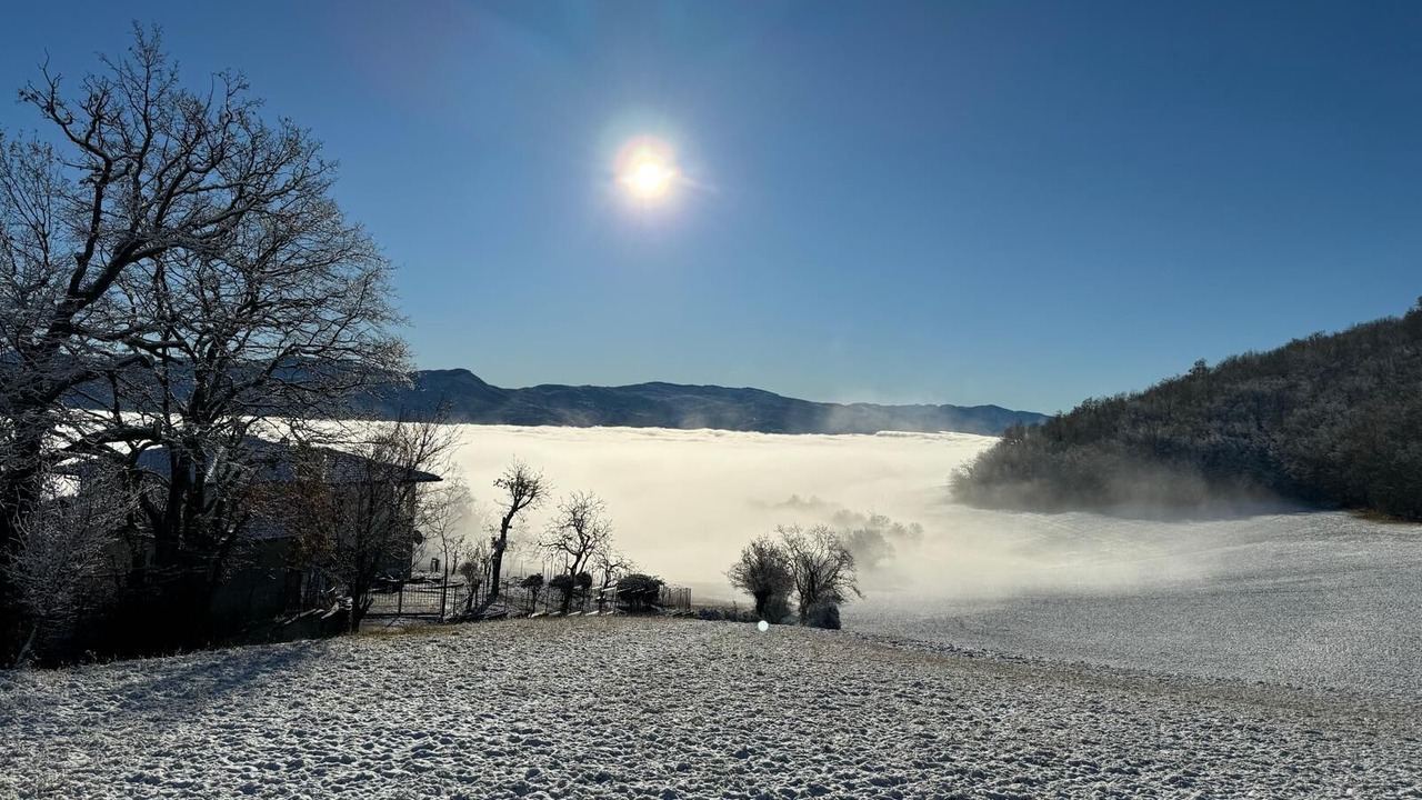 Photo of Others in Bobbio