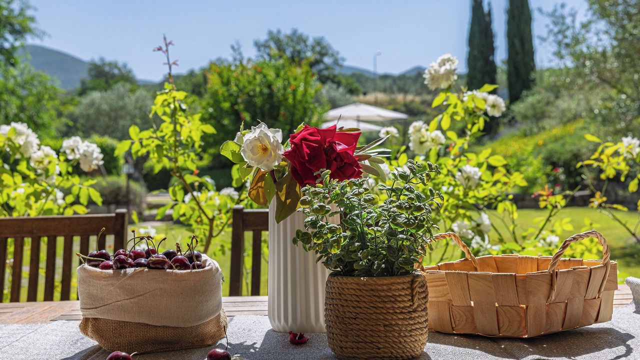 Photo of Outdoor in Montecchio