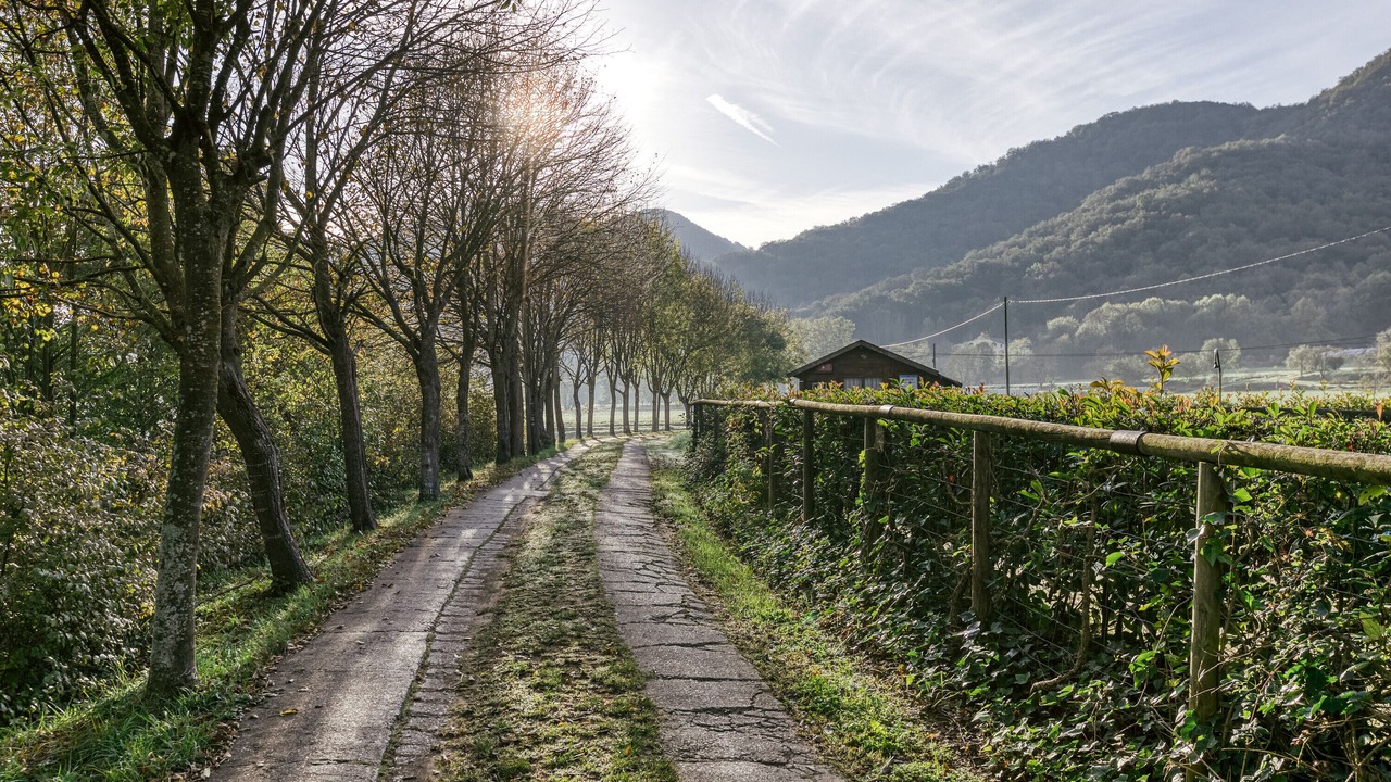 Photo of Others in Santa Margarida de Bianya