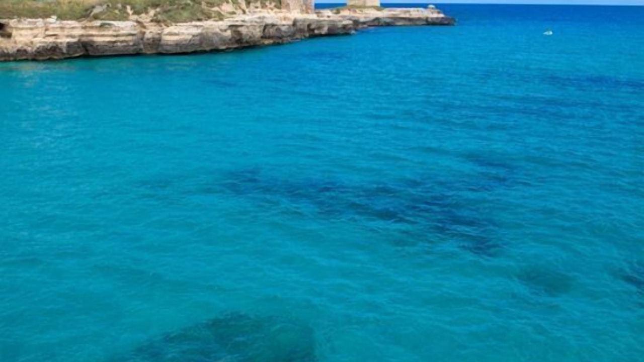 Photo of Others in Roca Vecchia