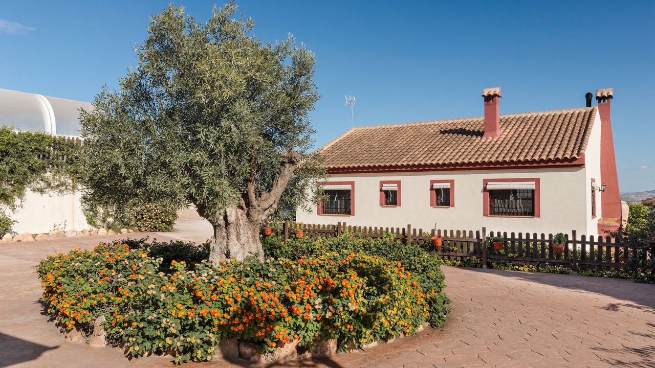 Photo of Outdoor in Casas de Tallante