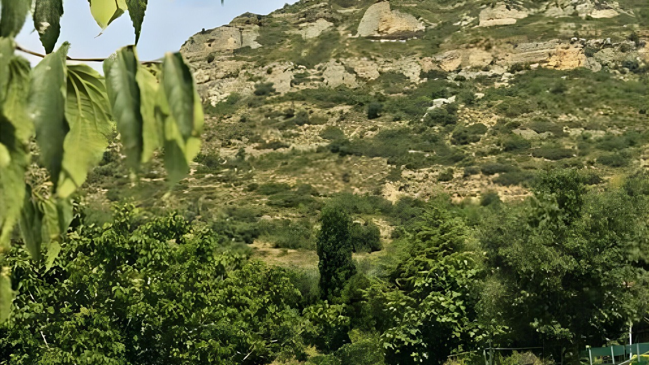 Photo of Others in Gavet de la Conca