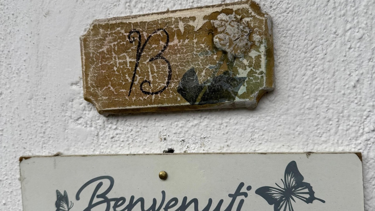 Photo of Others in Bassano in Teverina