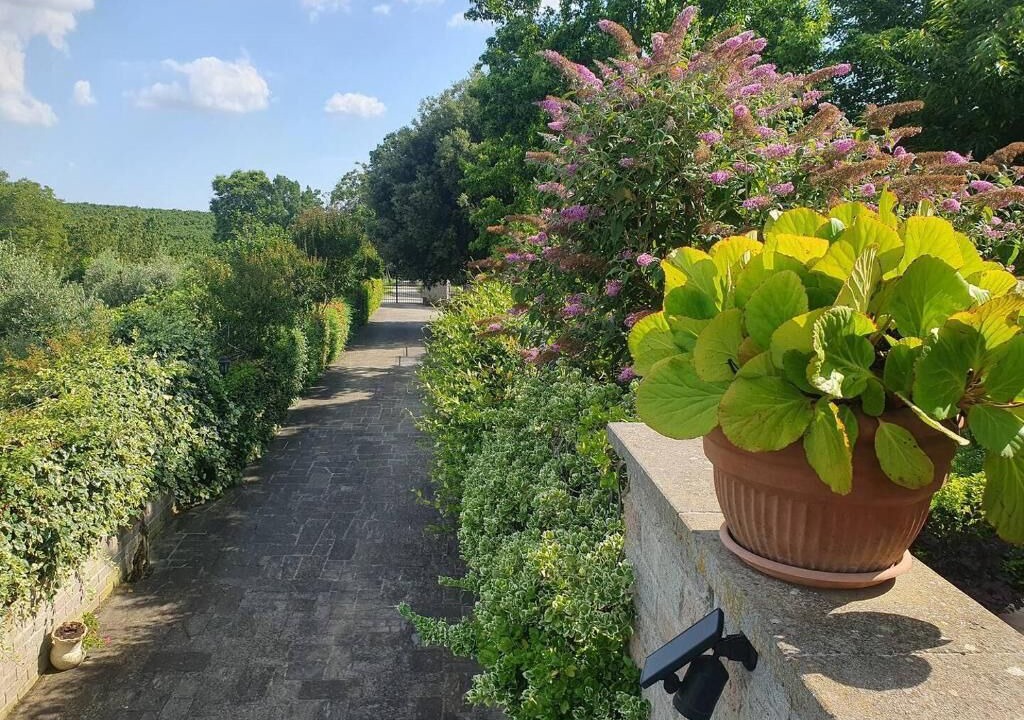 Photo of Outdoor in Bassano in Teverina