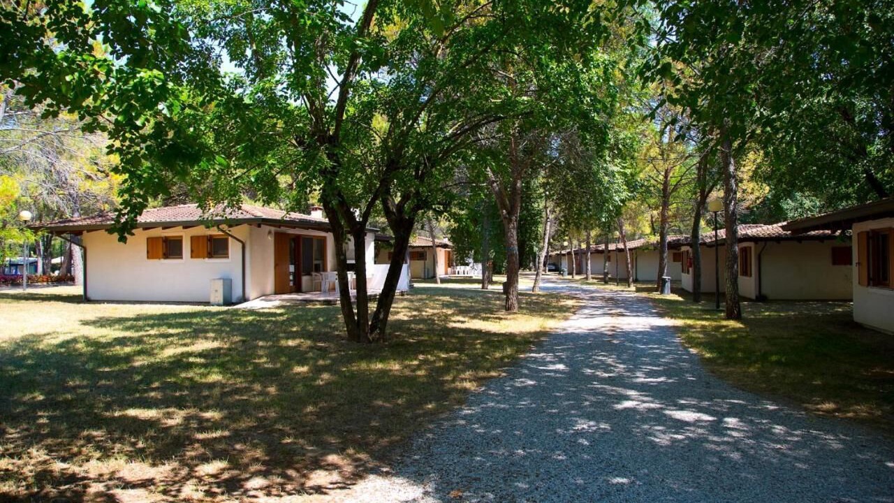 Photo of Outdoor in Aquileia