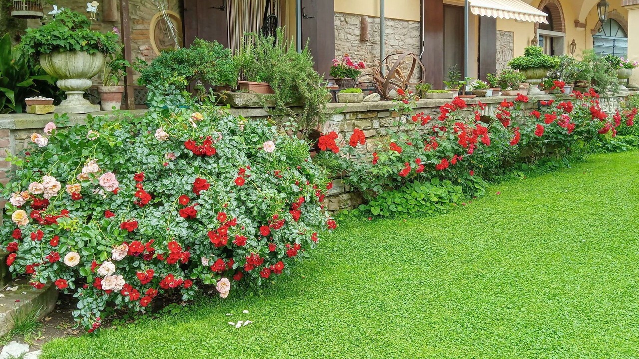 Photo of Outdoor in Monastero Bormida