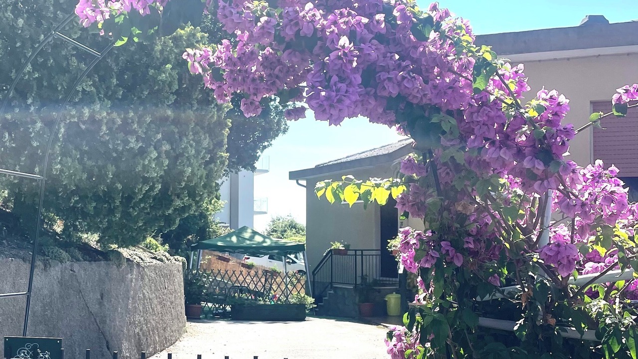 Photo of Outdoor in Voze