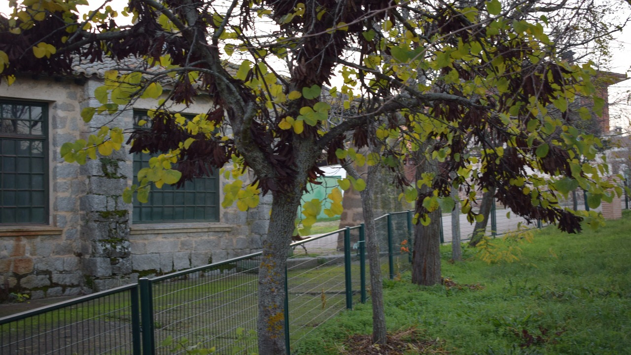 Photo of Outdoor in Menasalbas