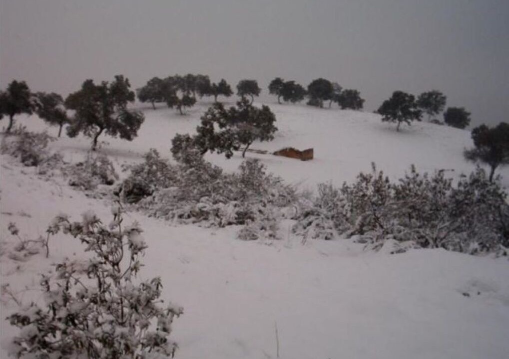 Photo of Others in Villaviciosa de Cordoba