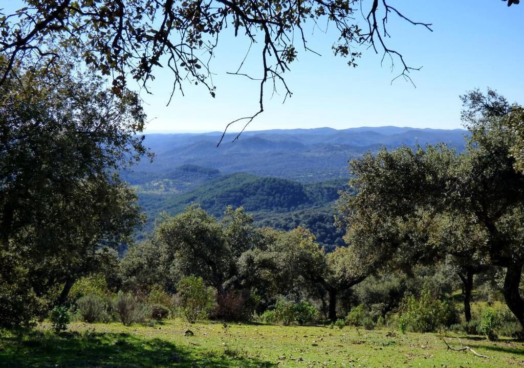Photo of Others in Villaviciosa de Cordoba