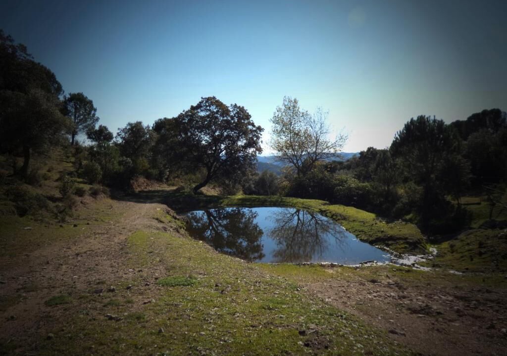 Photo of Others in Villaviciosa de Cordoba