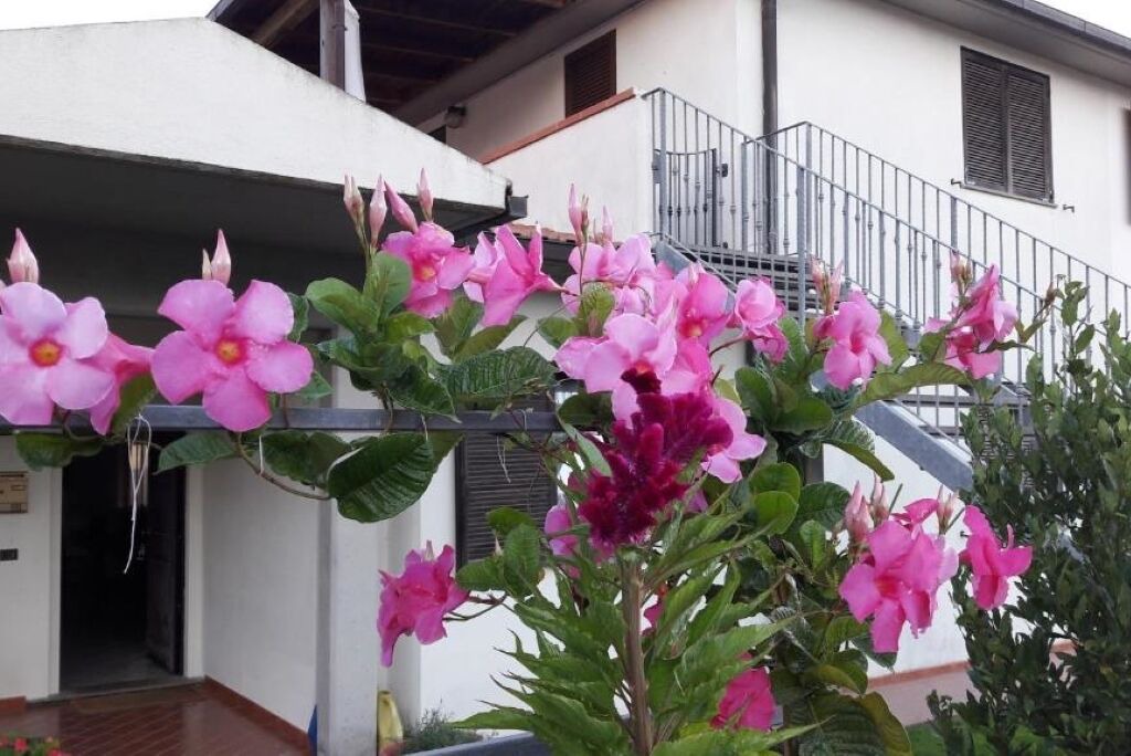 Photo of Outdoor in Pancole