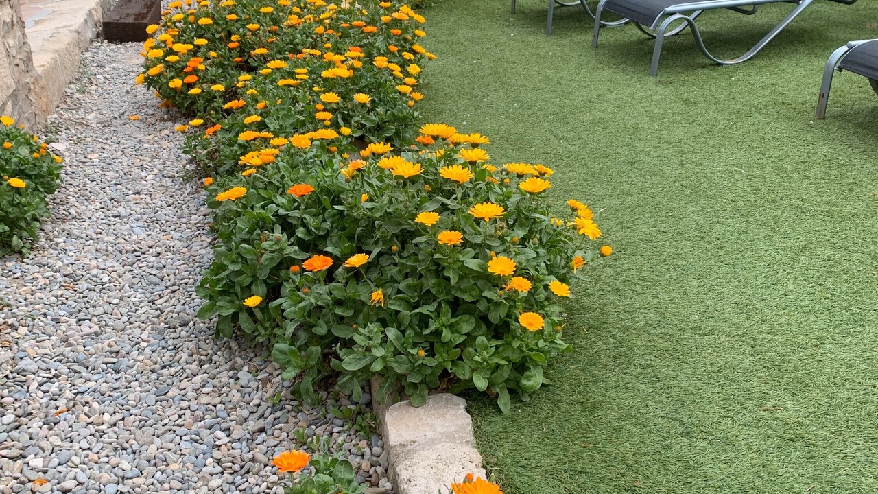 Photo of Outdoor in Savalla del Comtat