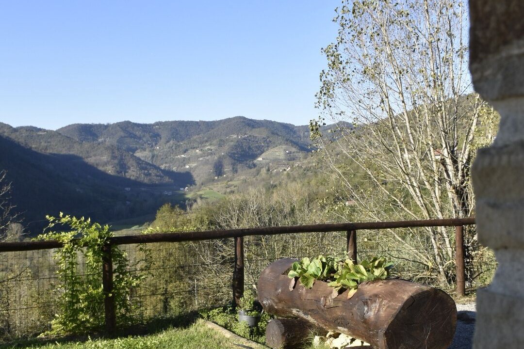 Photo of Outdoor in Cortemilia