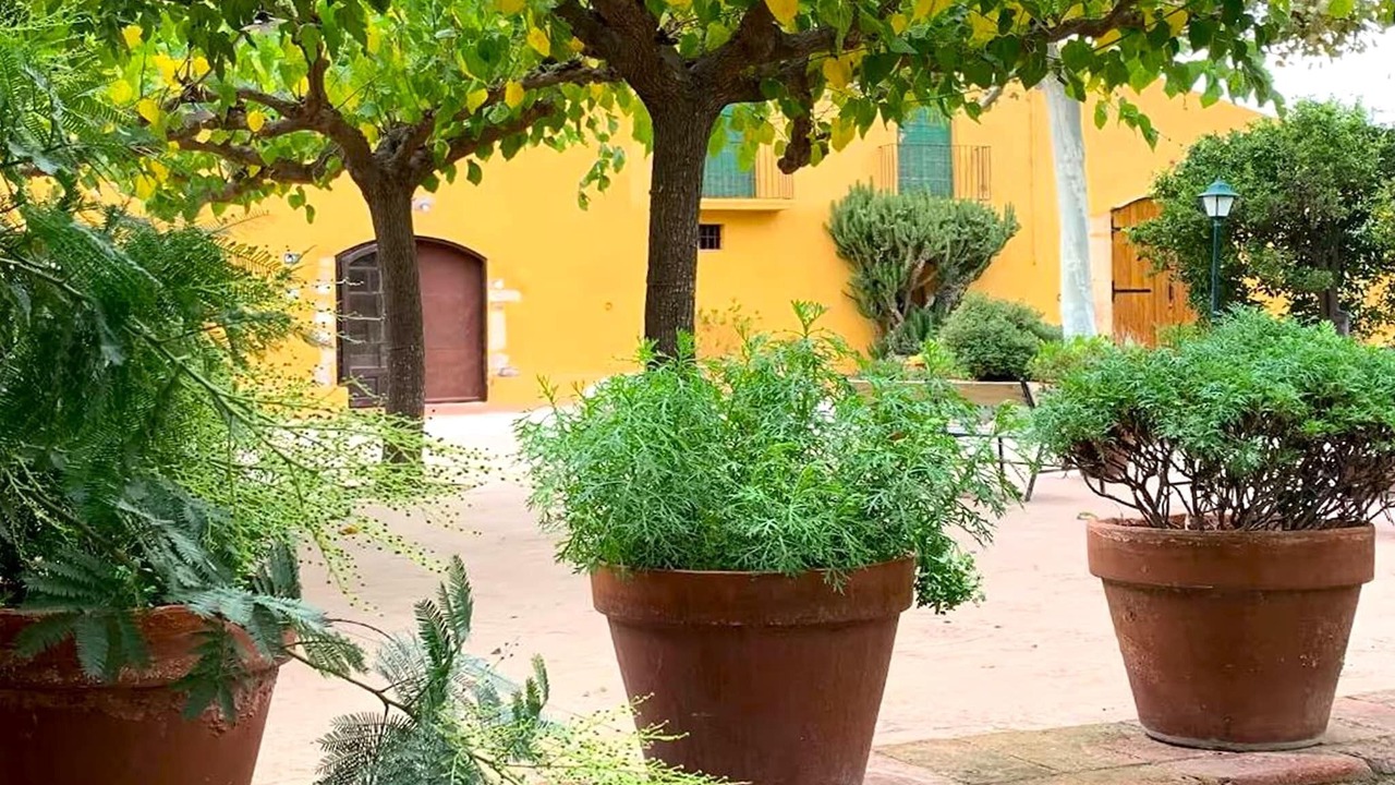 Photo of Patio Balcony in Riudoms