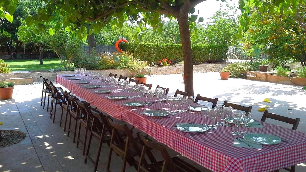 Photo of Patio Balcony in Riudoms