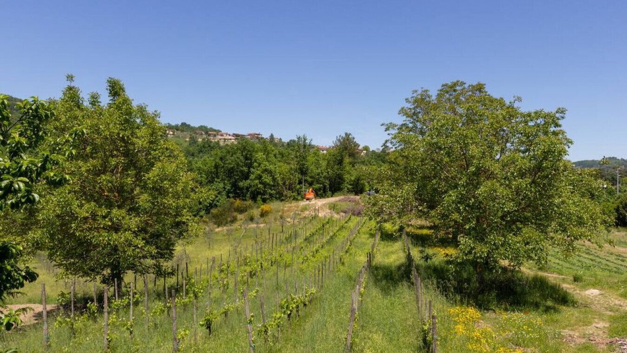 Photo of Others in Montevergine